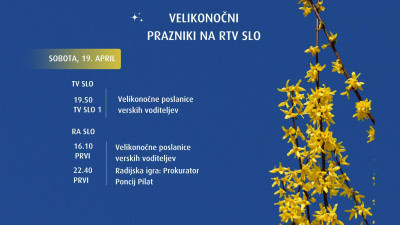 news-details