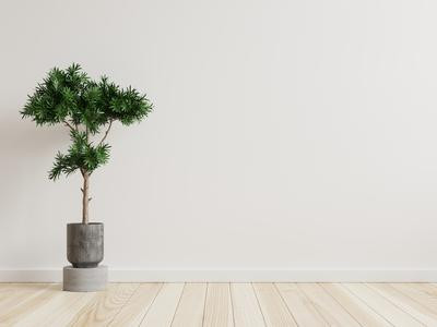 news-details