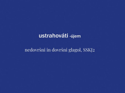 news-details