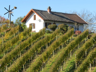 Aktualno